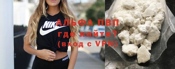 дмт Вяземский