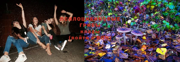 стафф Вязьма
