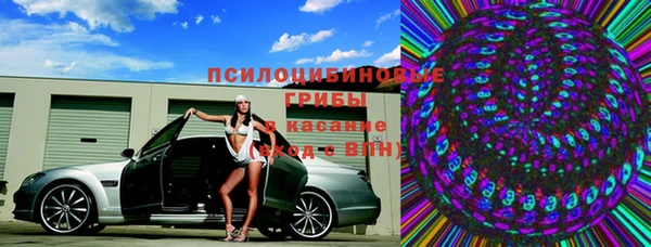 дмт Вяземский