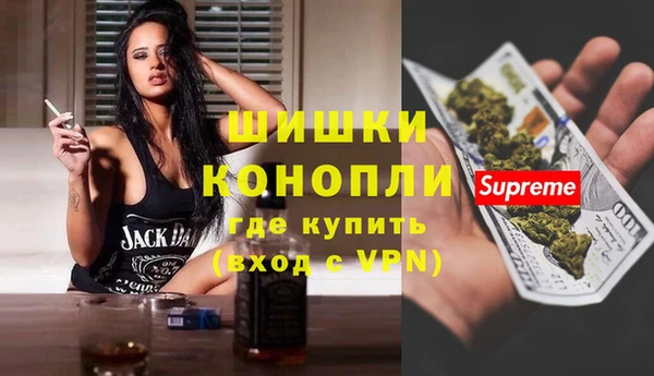 стафф Вязьма