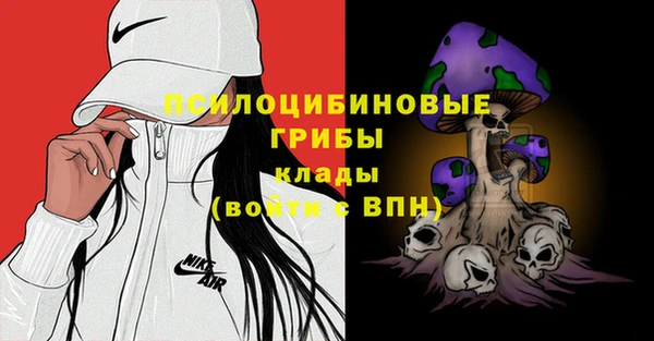 дмт Вяземский