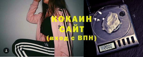 стафф Вязьма